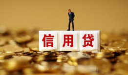 东莞16哪有个人借贷-东莞16小额贷款公司-东莞16私借空放免费上门